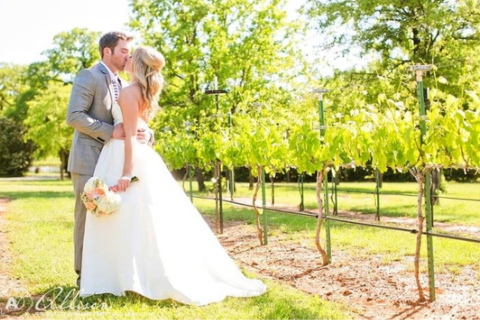 winery-wedding-vineyard