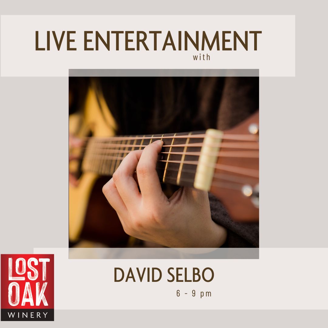 Live Entertainment with David Selbo