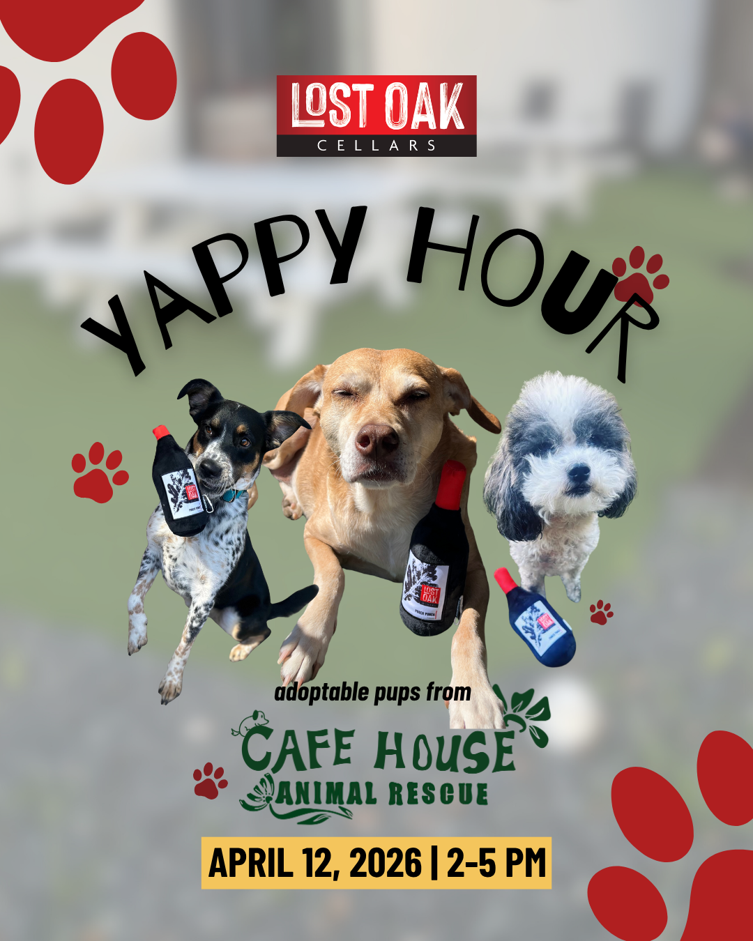 Yappy Hour